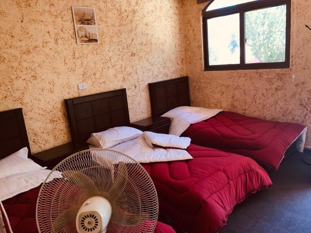 Guest House Attallah ワディ・ムーサ エクステリア 写真