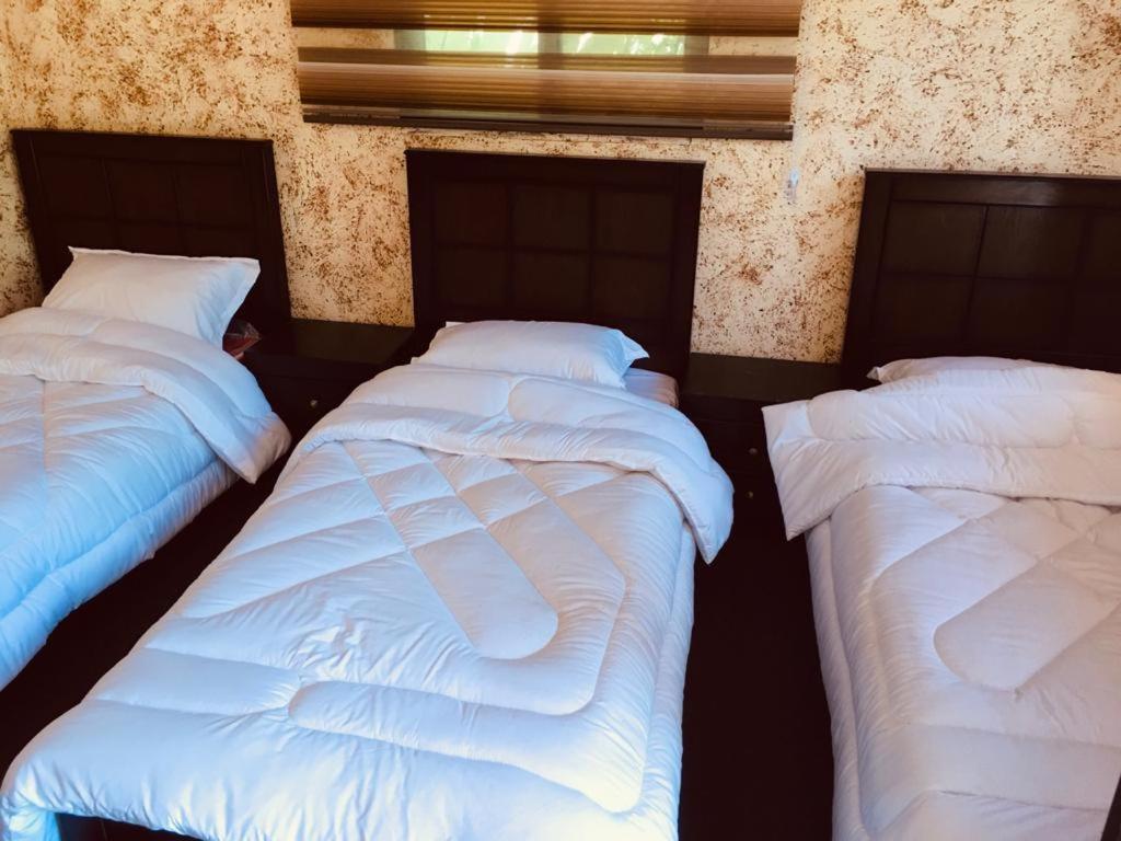 Guest House Attallah ワディ・ムーサ エクステリア 写真